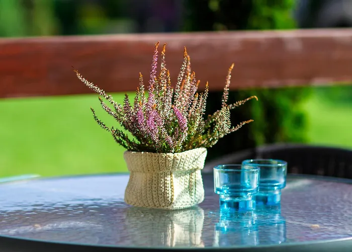 Bursztyn Ii W Sarbinowie Blisko Morza * Sarbinowo