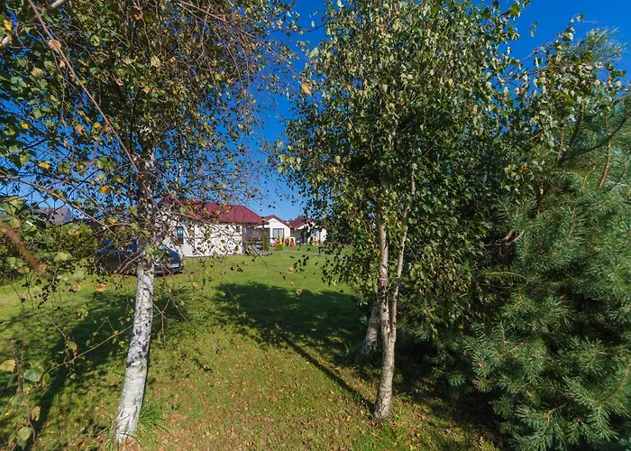 Bursztyn Ii W Sarbinowie Blisko Morza